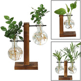Premium Glass Pot and Wooden Stand Set