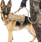 Nylon Tactical Dog Harness with Handle & Bungee Leash for Large Dogs