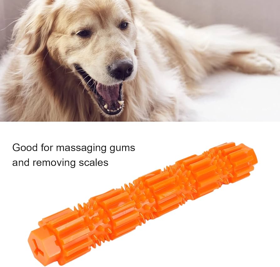 Dog Chew Toy