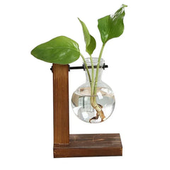 Premium Glass Pot and Wooden Stand Set