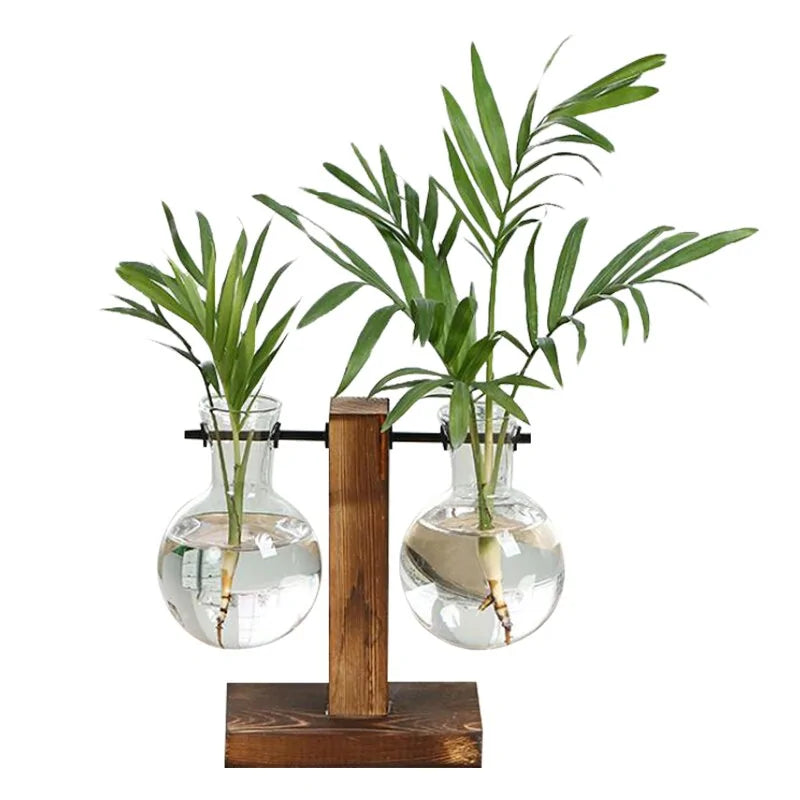 Premium Glass Pot and Wooden Stand Set