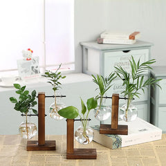 Premium Glass Pot and Wooden Stand Set
