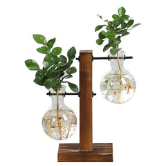 Premium Glass Pot and Wooden Stand Set