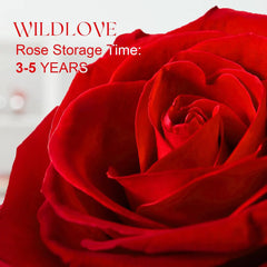 I Love You Necklace (+ WILDLOVE Preserved Real Rose)