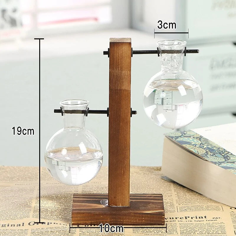 Premium Glass Pot and Wooden Stand Set